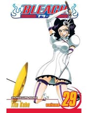 Bleach, Vol. 29 product image
