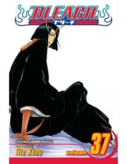Bleach, Vol. 37 product image