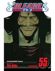 Bleach, Vol. 55: The Blood Warfare product image