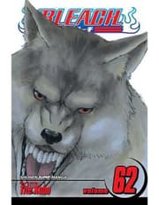 Bleach, Vol. 62 product image