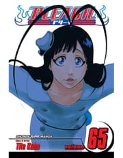 Bleach, Vol. 65: Marching Out The Zombies product image