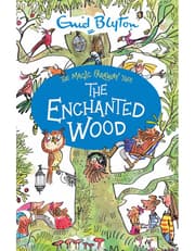 The Magic Faraway Tree: The Enchanted Wood Deluxe Edition: Book 1 product image