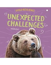 Build Resilience: Unexpected Challenges product image