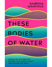 These Bodies Of Water product image