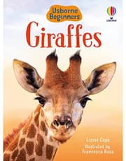 Giraffes product image