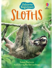 Sloths product image