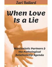 When Love Is a Lie product image