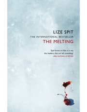 The Melting product image