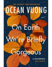 On Earth We're Briefly Gorgeous product image