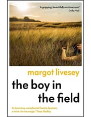 The Boy in the Field product image