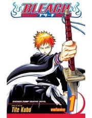 Bleach, Vol. 1 product image