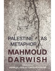 Palestine As Metaphor product image
