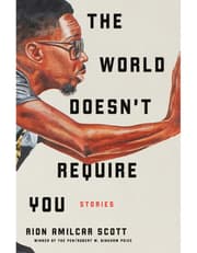 The World Doesn`t Require You – Stories product image