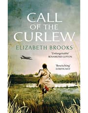 Call of the Curlew product image