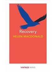 Recovery product image