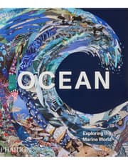 Ocean product image