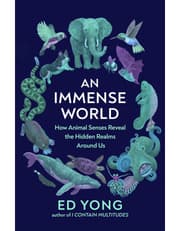 An Immense World product image