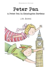 Peter Pan And Peter Pan In Kensington Gardens product image