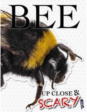 Up Close & Scary Bee product image