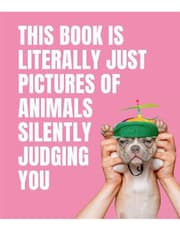 This Book is Literally Just Pictures of Animals Silently Judging You product image