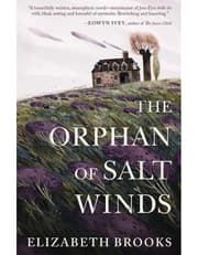 The Orphan of Salt Winds product image