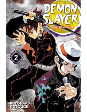 Demon Slayer: Kimetsu no Yaiba, Vol. 2 product image