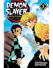Demon Slayer: Kimetsu no Yaiba, Vol. 3 product image