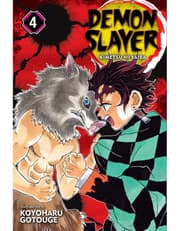 Demon Slayer: Kimetsu no Yaiba, Vol. 4 product image