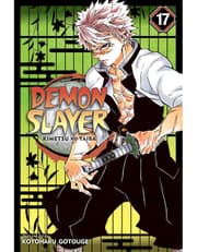 Demon Slayer: Kimetsu no Yaiba, Vol. 17 product image