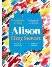Alison: A Stunning And Emotional Graphic Novel For Fans Of Sally Rooney, From An Award Winning Illustrator And Author product image