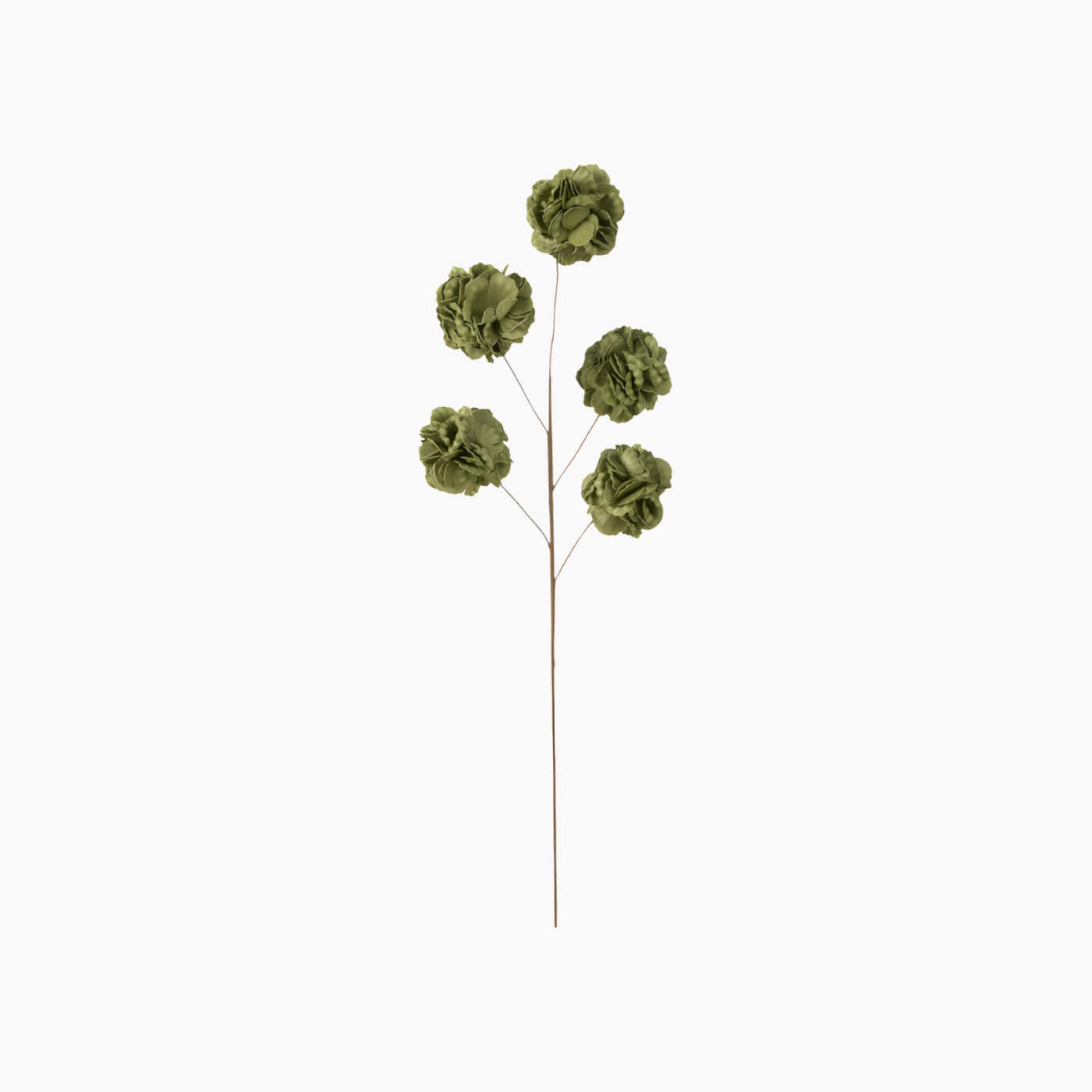 Pomp Green Flower
