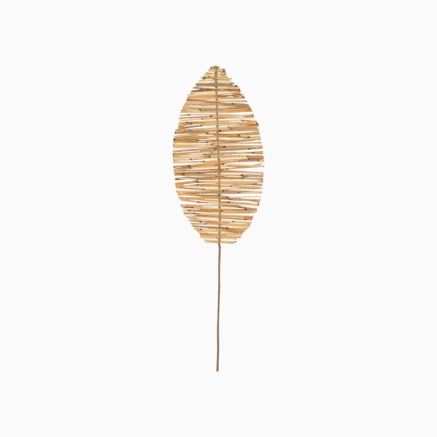 Boho Leaf Branch Natural Wood