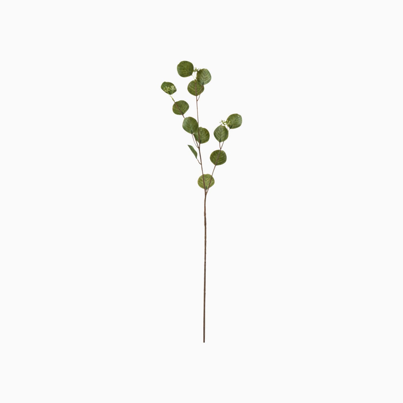 Branch Honesty