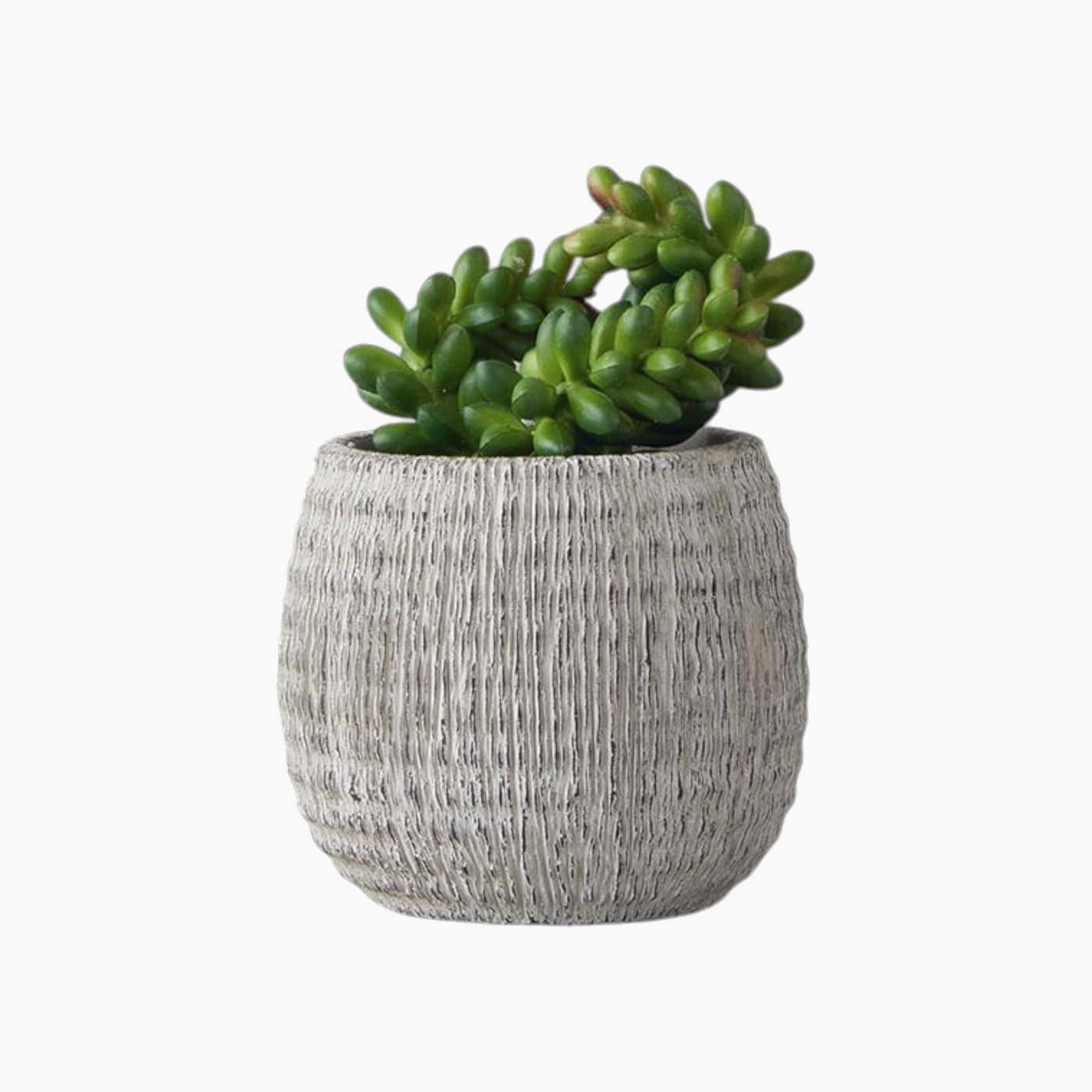 H Living Cactus Love Artificial Flower with Vase