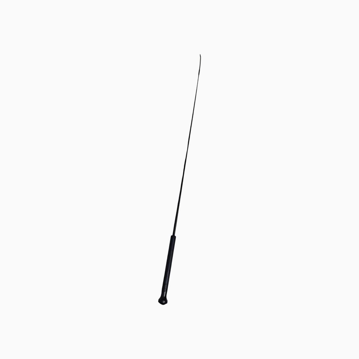 Equestrian Dressage Whip